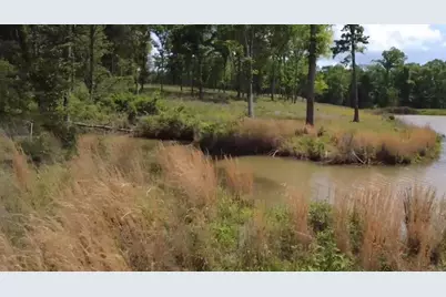 Lot 9 County Road 494, Jewett, TX 75846 - Photo 4