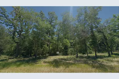 Lot 9 County Road 494, Jewett, TX 75846 - Photo 2