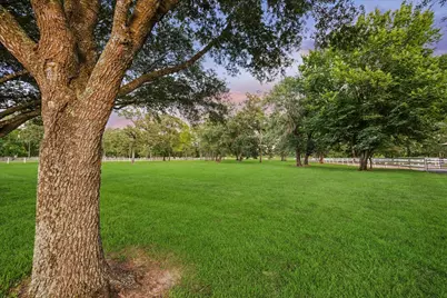 39414 Lago Drive, Magnolia, TX 77354 - Photo 38