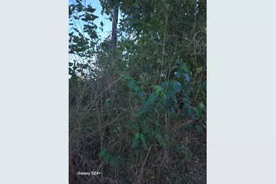 0 County Road 232, Richards, TX 77873 - Photo 6