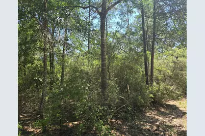9102 Blue Lake Drive, Plantersville, TX 77363 - Photo 12