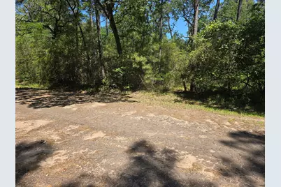 9102 Blue Lake Drive, Plantersville, TX 77363 - Photo 4