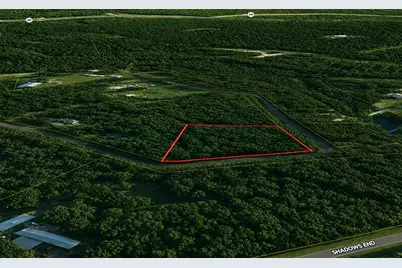 9102 Blue Lake Drive, Plantersville, TX 77363 - Photo 2
