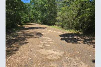 9102 Blue Lake Drive, Plantersville, TX 77363 - Photo 8