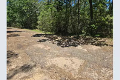 9102 Blue Lake Drive, Plantersville, TX 77363 - Photo 6