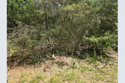 9102 Blue Lake Drive, Plantersville, TX 77363 - Photo 10
