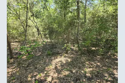9102 Blue Lake Drive, Plantersville, TX 77363 - Photo 12