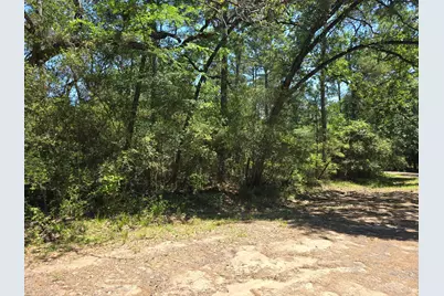 9102 Blue Lake Drive, Plantersville, TX 77363 - Photo 16