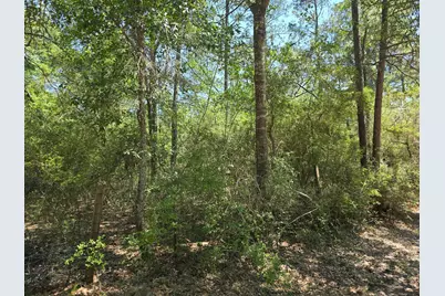 9102 Blue Lake Drive, Plantersville, TX 77363 - Photo 14