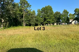 325 County Road 2268 Dr, Cleveland, TX 77327 - Photo 1