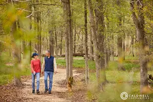 14015 Hawk Vis Ct, Willis, TX 77318 - Photo 32