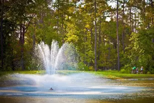 202 Thistle Dr, Montgomery, TX 77316 - Photo 30