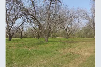 Lot 1 Fm 521, Angleton, TX 77515 - Photo 4