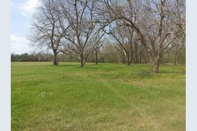 Lot 1 Fm 521, Angleton, TX 77515 - Photo 8