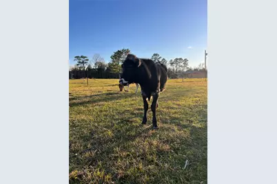 1799 Lilley Yeager Loop S, Cleveland, TX 77328 - Photo 46