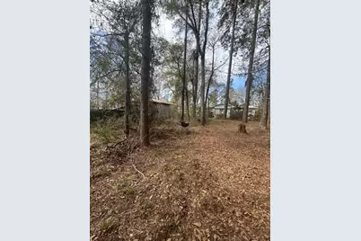 157 Honeysuckle, Livingston, TX 77351 - Photo 8