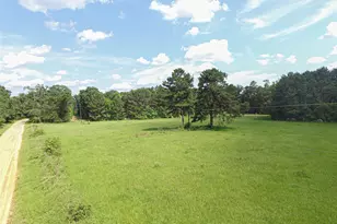3524 Holly Grove Rd, Livingston, TX 77351 - Photo 1