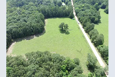 3524 Holly Grove Road, Livingston, TX 77351 - Photo 8