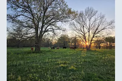 2790 Derby Lane, Madisonville, TX 77864 - Photo 18