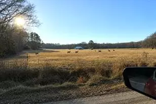 15410 C R 354, Winona, TX 75792 - Photo 12