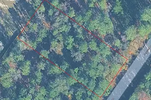 0000 Dogwood Ln, Houston, TX 77339 - Photo 1