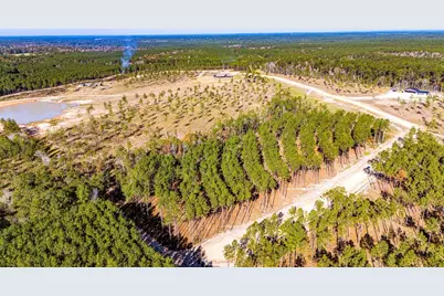 Lot 12 Big Buck Drive, Moscow, TX 75960 - Photo 4