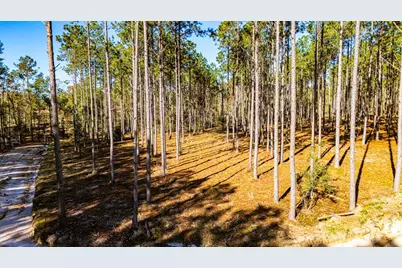 Lot 12 Big Buck Drive, Moscow, TX 75960 - Photo 6