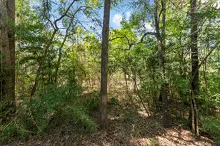 2347 W Settler's Way, The Woodlands, TX 77380 - Photo 20