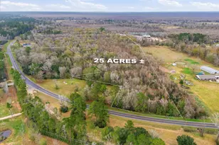 00 Fm-1008, Kenefick, TX 77535 - Photo 1