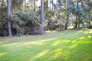 22920 Blackgum Dr, Magnolia, TX 77355 - Photo 24