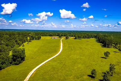 2682 Darden Road, Livingston, TX 77351 - Photo 46