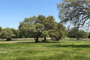 Lot 6 Pvt 1671, Hallettsville, TX 77964 - Photo 2