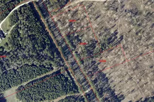 5452 Fm 2497, Lufkin, TX 75904 - Photo 4