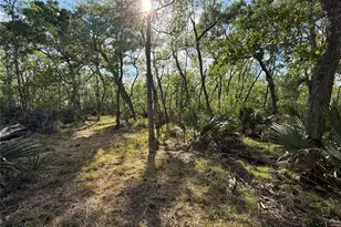 Tract 1 County Road 332, Sweeny, TX 77480 - Photo 1