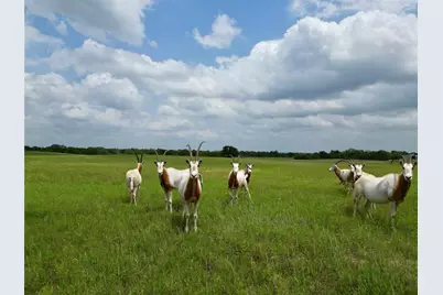 3803 Private 4100 Road, Marquez, TX 77865 - Photo 10