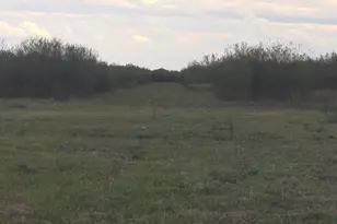 36847 Richard Frey 2-4 Rd, Hempstead, TX 77445 - Photo 14