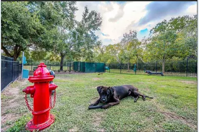 529 Barker Clodine Road #Juniper, Houston, TX 77094 - Photo 16