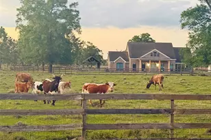 635 Texla Rd, Vidor, TX 77662 - Photo 34