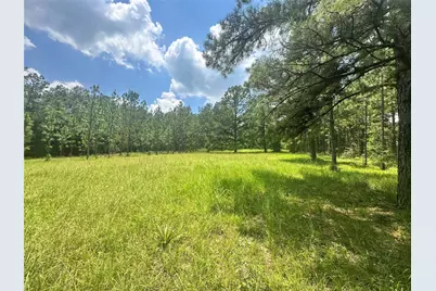 222 County Road 3085, Colmesneil, TX 75938 - Photo 44