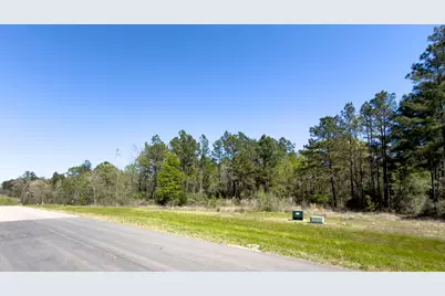 15824 Wood Grove Way, Willis, TX 77378 - Photo 2