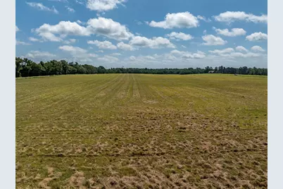 1420 Acr 379, Palestine, TX 75801 - Photo 6