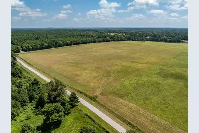 1420 Acr 379, Palestine, TX 75801 - Photo 8