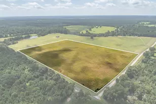 1420 Acr 379, Palestine, TX 75801 - Photo 1