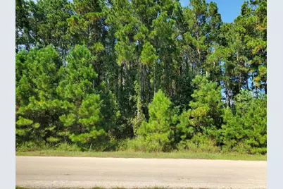 1307 County Road 3479J, Cleveland, TX 77327 - Photo 2
