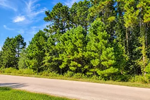 1307 County Rd 3479J, Cleveland, TX 77327 - Photo 1