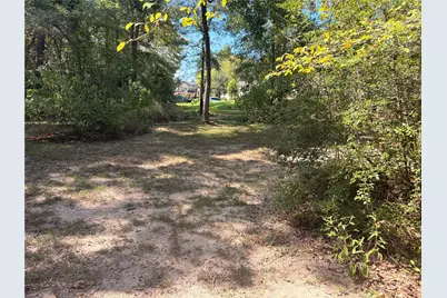 313 Pine Brook Drive, Montgomery, TX 77356 - Photo 32
