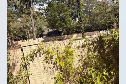 313 Pine Brook Drive, Montgomery, TX 77356 - Photo 28