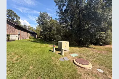 313 Pine Brook Drive, Montgomery, TX 77356 - Photo 6