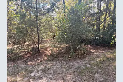 313 Pine Brook Drive, Montgomery, TX 77356 - Photo 36