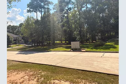 313 Pine Brook Drive, Montgomery, TX 77356 - Photo 24